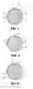 Fig. 02 - Golf ball