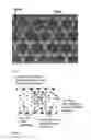 Fig. 02 - Porous polymeric membrane with high void volume