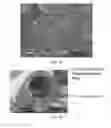 Fig. 04 - Hollow fiber membrane having hexagonal voids
