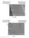 Fig. 06 - Hollow fiber membrane having hexagonal voids