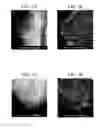 Fig. 03 - CATALYST FOR HYDROCARBON REFORMING, METHOD OF MANUFACTURING THE SAME, AND METHOD OF MANUFACTURING SYNTHESIS GAS