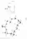 Fig. 07 - Z-selective ring-closing metathesis reactions