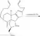 Fig. 210 - Z-selective ring-closing metathesis reactions