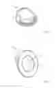 Fig. 24 - Apparatus and methods for disinfection of a specimen container