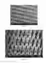Fig. 02 - FEATURED SURFACE AND METHOD OF MAKING FEATURED SURFACE