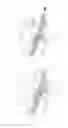 Fig. 07 - Child safety seat