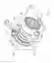 Fig. 09 - Strapping device having a pivotable rocker