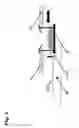 Fig. 04 - Automatic apparatus for high speed precision portioning of granules by weight