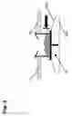 Fig. 05 - Automatic apparatus for high speed precision portioning of granules by weight
