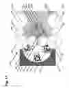 Fig. 12 - Automatic apparatus for high speed precision portioning of granules by weight