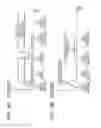 Fig. 07 - Image forming apparatus