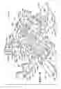 Fig. 12 - HOSE REEL ASSEMBLY