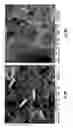 Fig. 09 - Systems and methods of storing combustion waste products