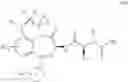 Fig. 09 - Tricyclic heterocycle compounds