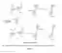 Fig. 06 - Compositions and methods for inhibiting activity of hypoxia-inducible transcription factor complex and its use for treatment of tumors