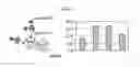 Fig. 09 - Peptides that bind to epithelial cell adhesion molecule