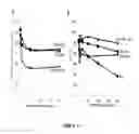 Fig. 07 - Desmoglein 2 (DSG2) Binding Proteins and Uses Therefor