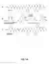 Fig. 02 - MEANS AND METHODS FOR BREAKING NONCOVALENT BINDING INTERACTIONS BETWEEN MOLECULES