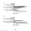 Fig. 03 - T cell receptors recognizing MHC class II-restricted MAGE-A3
