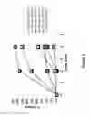 Fig. 06 - Methods for treating skin infection by administering an IL-4R antagonist