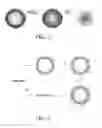 Fig. 02 - Chelating amphiphilic polymers