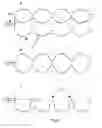 Fig. 22 - 3D Tissue Culture Devices and Systems