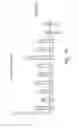 Fig. 22 - METHODS FOR MODULATING RNA USING 3' TARGETING OLIGONUCLEOTIDES