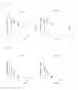 Fig. 02 - COMPOSITION FOR SUPPRESSING EXPRESSION OF TARGET GENE