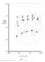 Fig. 131 - Photosynthetic resource use efficiency in plants expressing regulatory proteins