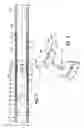 Fig. 02 - WELLBORE TOOL WITH INDEXING MECHANISM AND METHOD