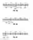 Fig. 08 - WELLBORE TOOL WITH INDEXING MECHANISM AND METHOD