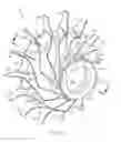 Fig. 03 - Axially-split radial turbines