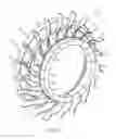 Fig. 07 - Axially-split radial turbines