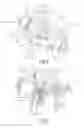 Fig. 06 - ADJUSTMENT DEVICE FOR VALVE ASSEMBLY