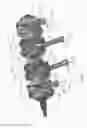 Fig. 02 - Crankshaft