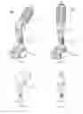 Fig. 02 - Portable Lighting Apparatus