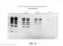 Fig. 09 - DETECTION OF IMMOBILIZED NUCLEIC ACID