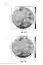 Fig. 14 - Systems and methods for predicting arrival of wind event at aeromechanical apparatus