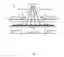 Fig. 07 - Optical circuit