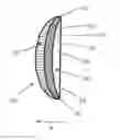 Fig. 01 - Variable focus liquid filled lens apparatus