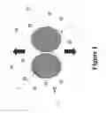 Fig. 02 - Electrophoretic dispersion