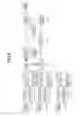 Fig. 07 - Image processing system, image processing method, and program