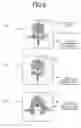 Fig. 07 - Image processing device and spinal canal evaluation method