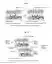 Fig. 07 - Linked stacks of partly reduced graphen, method for producing linked stacks of partly reduced graphene, power comprising linked stacks of partly reduced graphene, graphene electrode film, method for producing graphene elcetrode film, and graphene capacitor