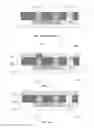 Fig. 02 - Transistor having a heterojunction and manufacturing method thereof