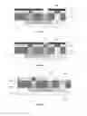 Fig. 06 - Transistor having a heterojunction and manufacturing method thereof
