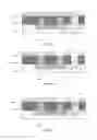 Fig. 07 - Transistor having a heterojunction and manufacturing method thereof