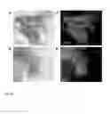 Fig. 09 - Structurally ordered nanoparticles, methods and applications
