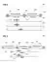 Fig. 03 - Communication method with indications in the PHY header