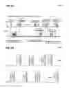 Fig. 11 - Communication method with indications in the PHY header